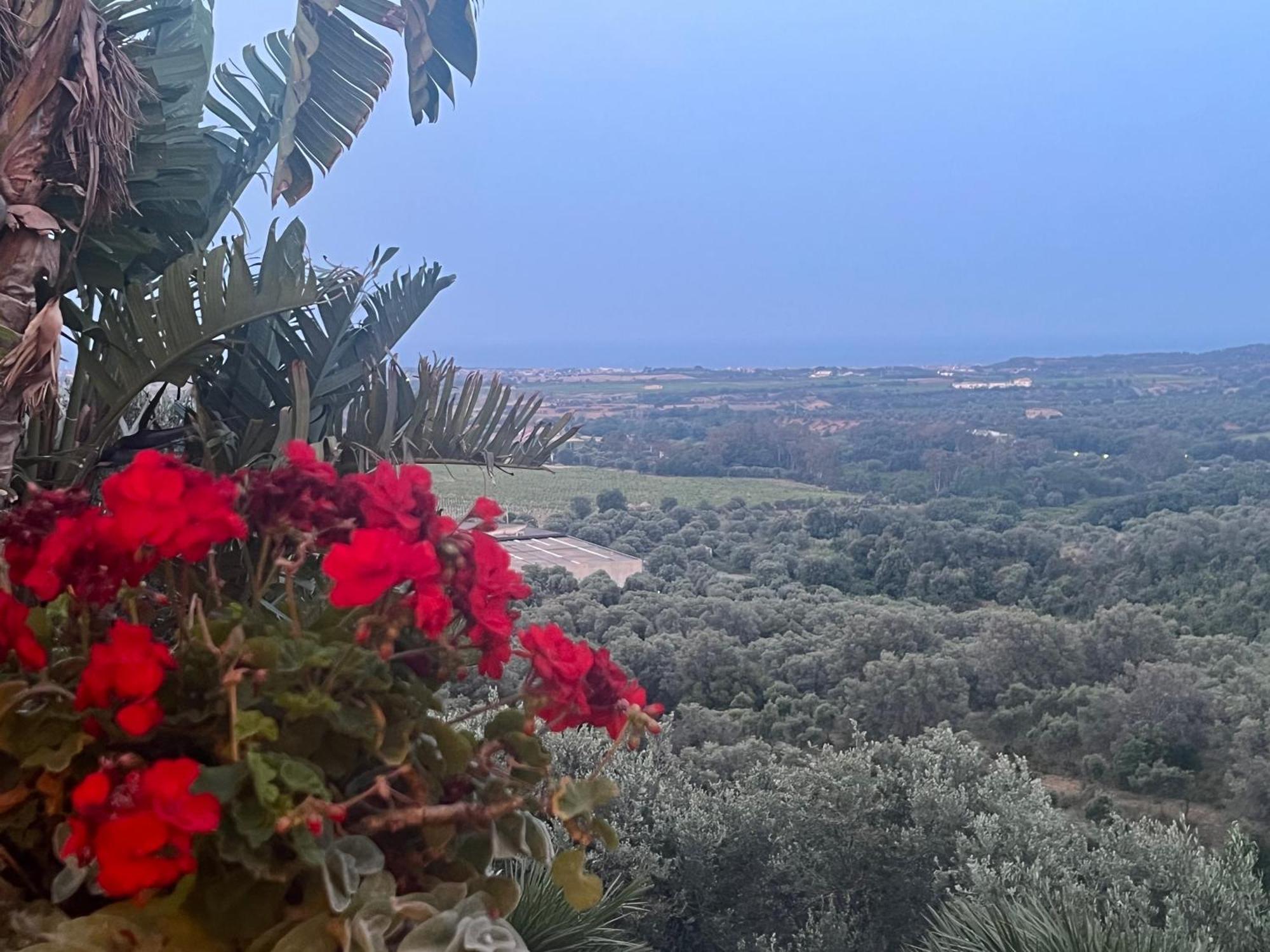 Agriturismo Catena Ciro 外观 照片