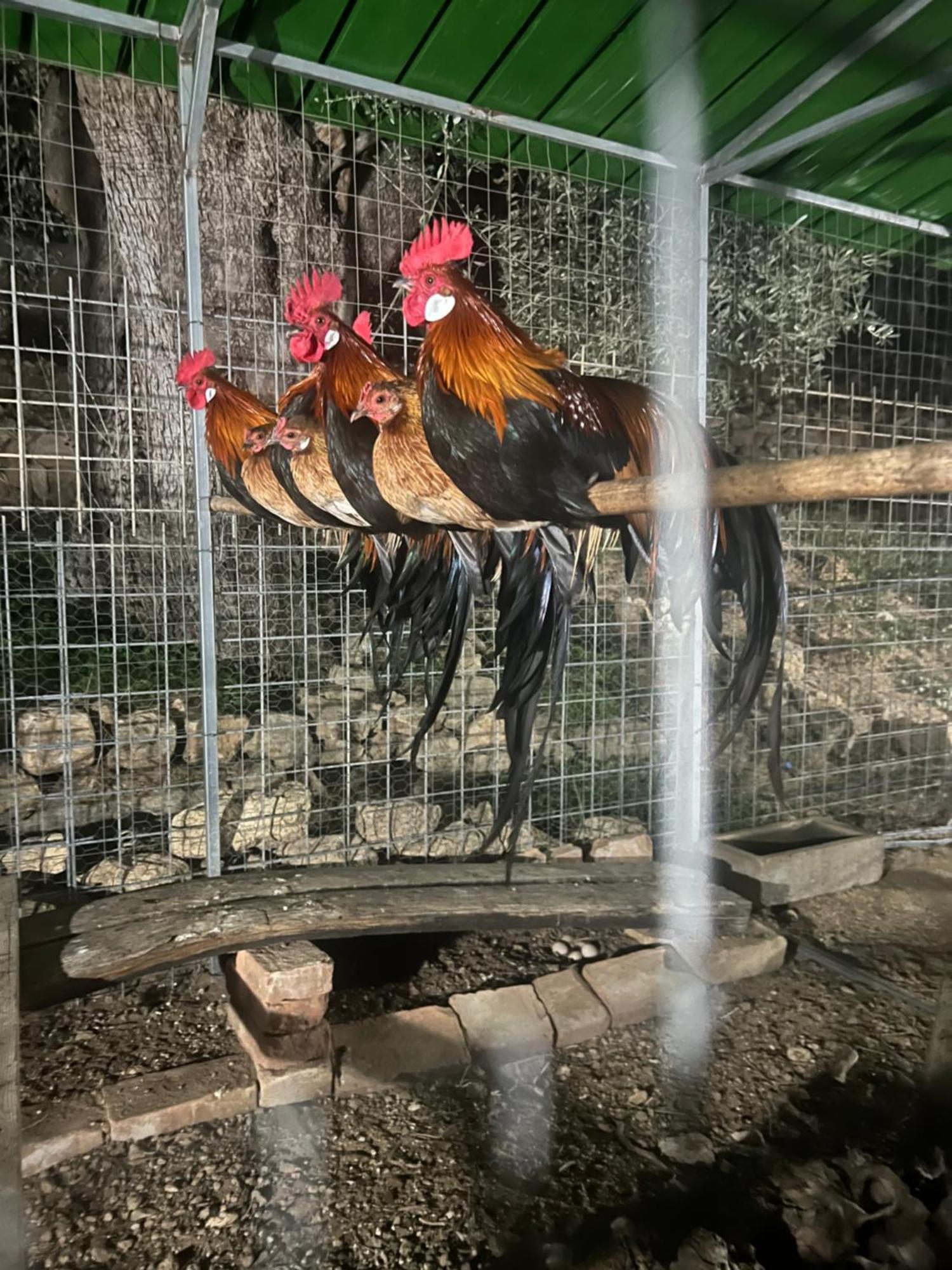 Agriturismo Catena Ciro 外观 照片